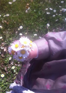 Les petites marguerites le bouquet