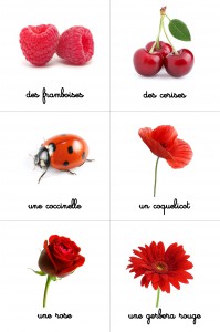 Cartes montessori nomenclature