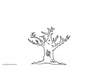 automne arbre