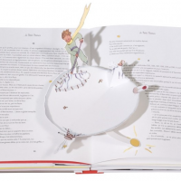 livres pour enfant de 2 ans le petit prince