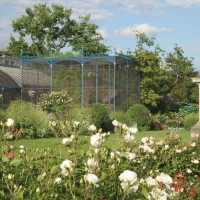 jardin d'acclimatation