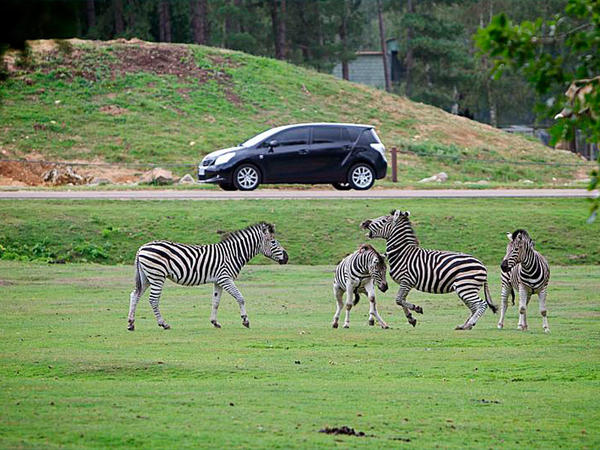 Zoo de thoiry