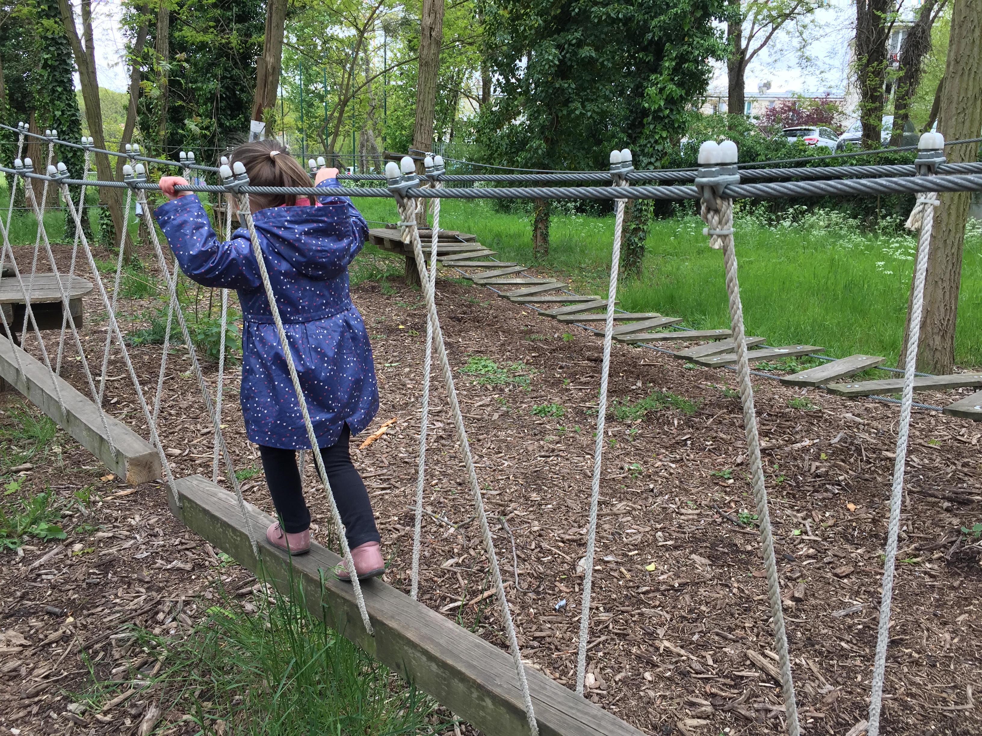 ecopark adventures bois enfants