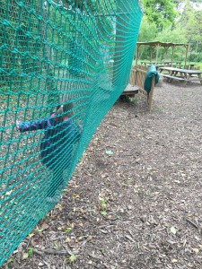 ecopark adventures accrobranche activite