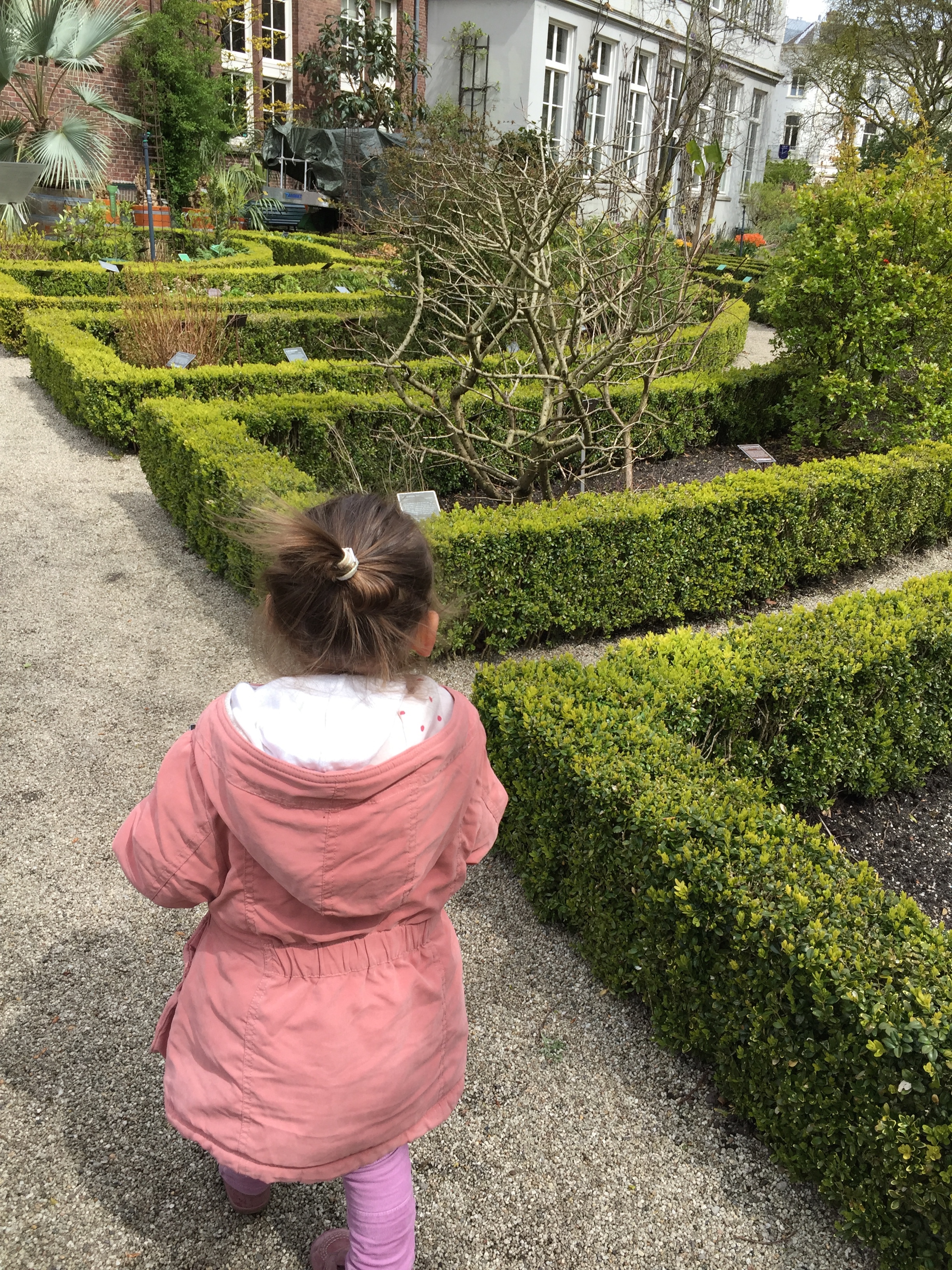 Vacances à Amsterdam de hortus