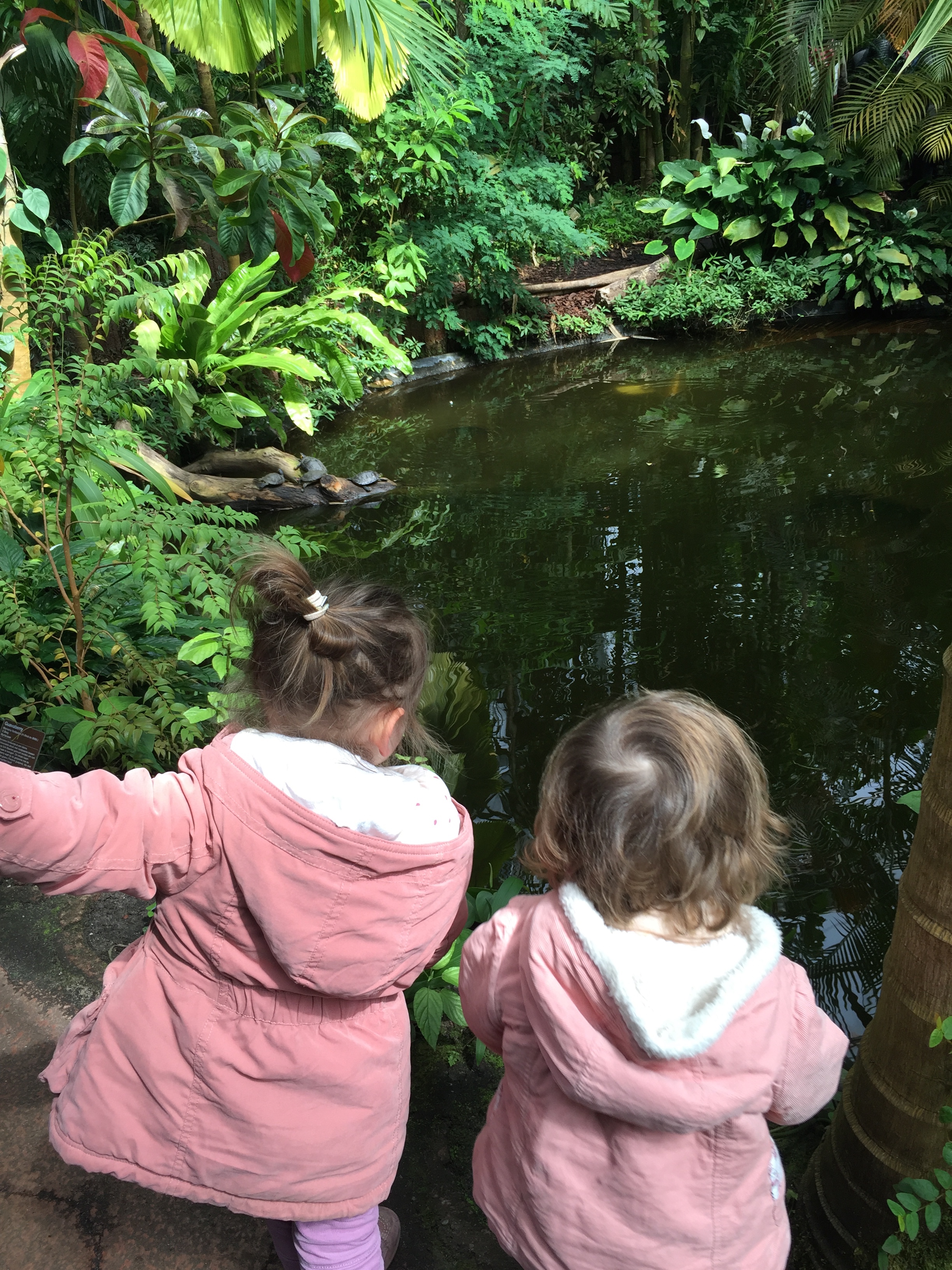 Vacances à Amsterdam parc de hortus