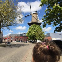 3 jours autour de Rotterdam le plus grand moulin au monde