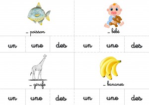Les déterminants cartes à pinces ief maternelle