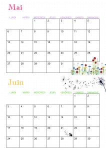 Calendrier 2019 montessori