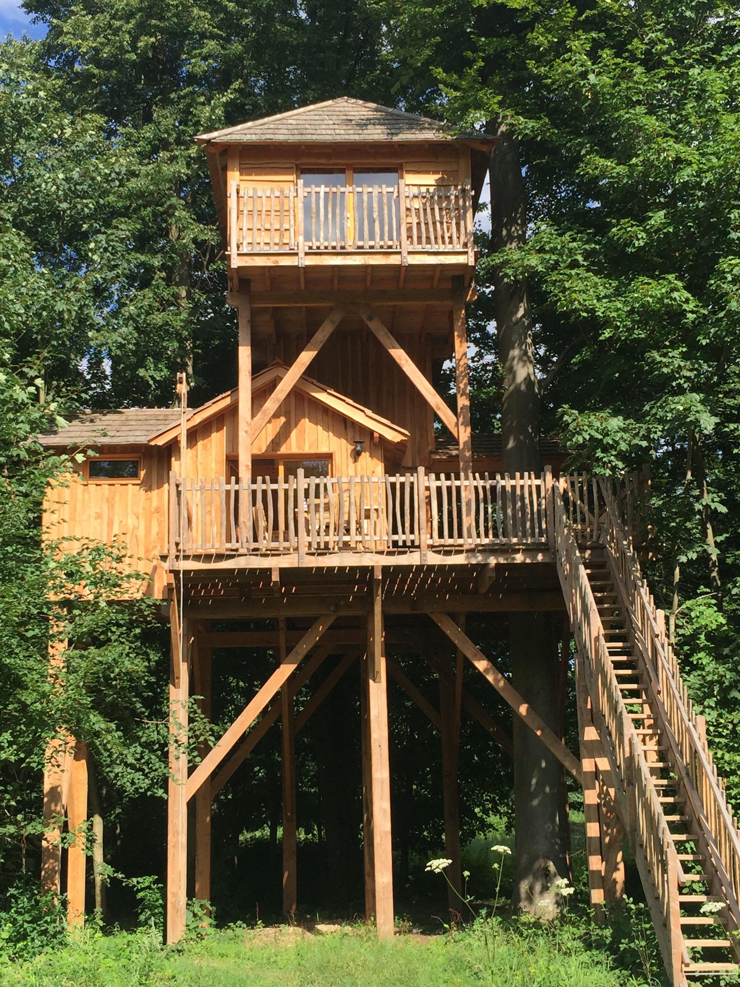 cabanes des grands chênes forêt