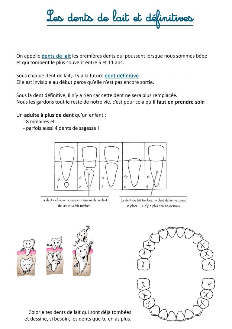 Sequence sur les dents ce1