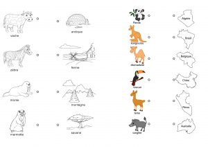 découvrir les animaux