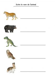 écriture projet animaux