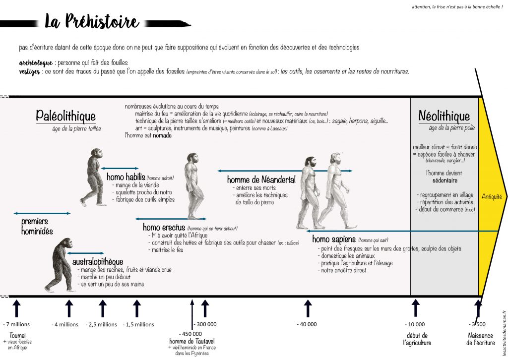 frise historique période la préhistoire