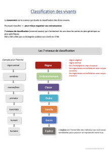 classification des êtres vivants CM