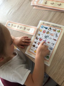 la case mystere enfant activité autonome ief
