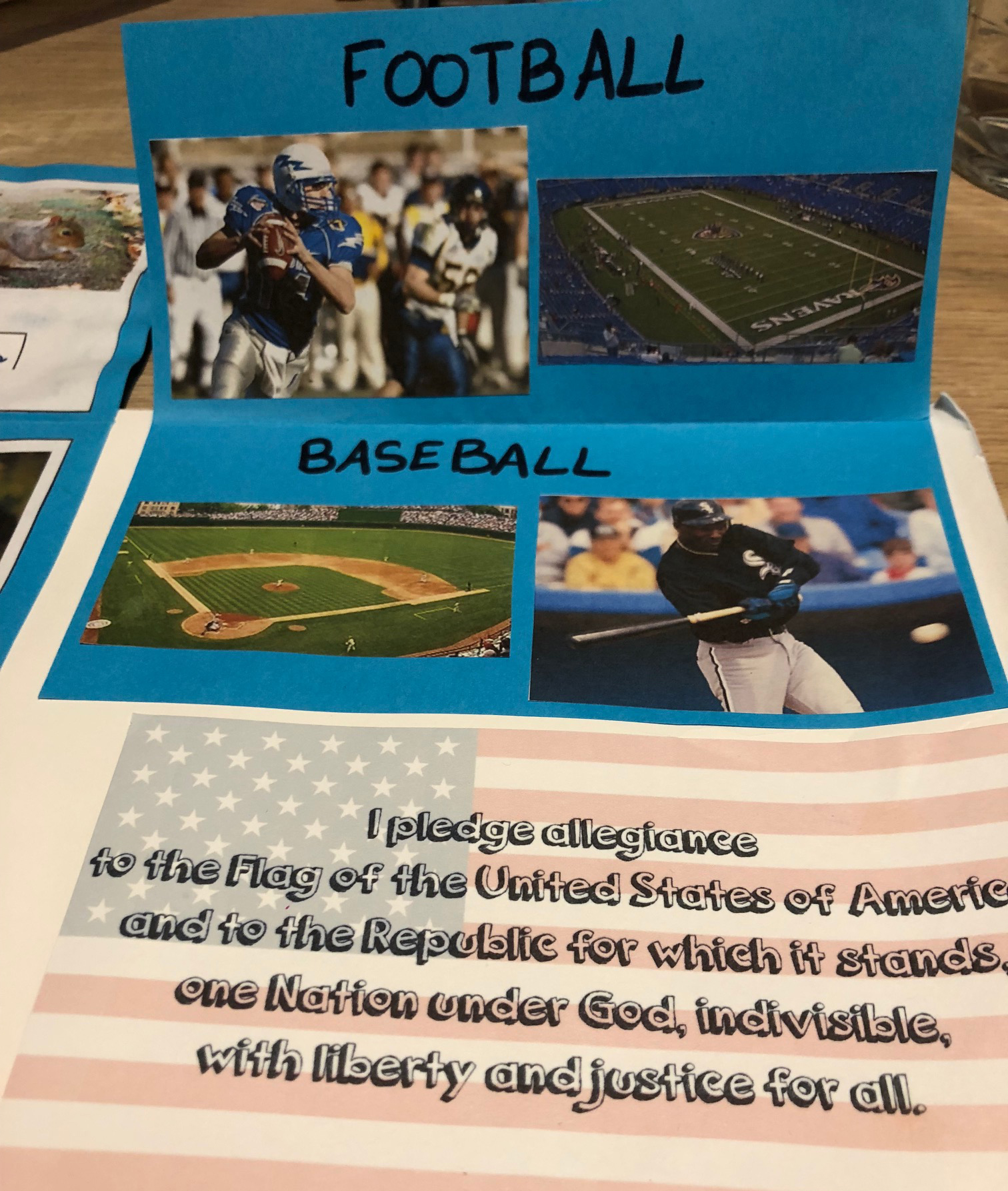 Lapbook USA ief sports