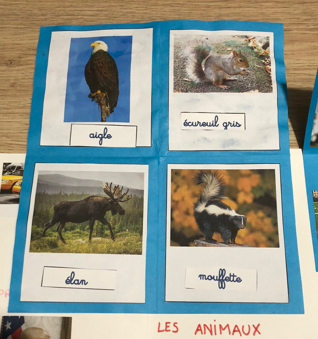 Lapbook USA les animaux