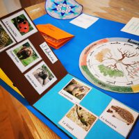 lapbook hiver instruction en famille