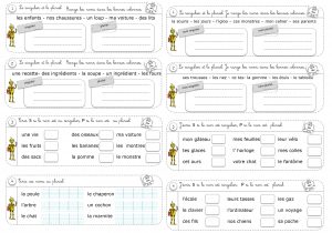 exercices sur le pluriel et le singulier