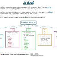 pluriel singulier cp ce1 ce2 instruction en famille leçon