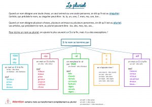 pluriel singulier cp ce1 ce2 instruction en famille leçon