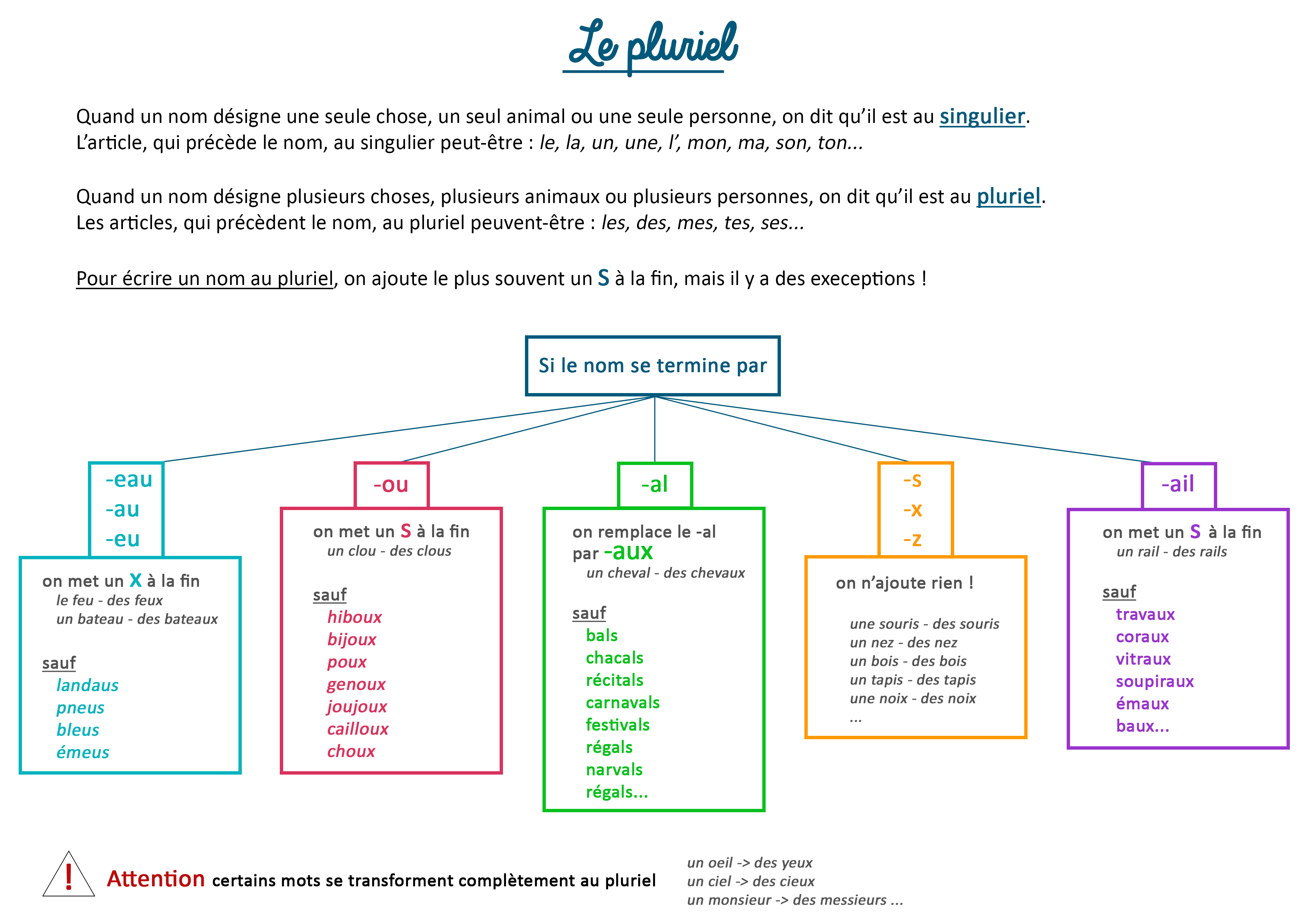 le pluriel des noms