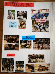 exposé puy du fou les animaux