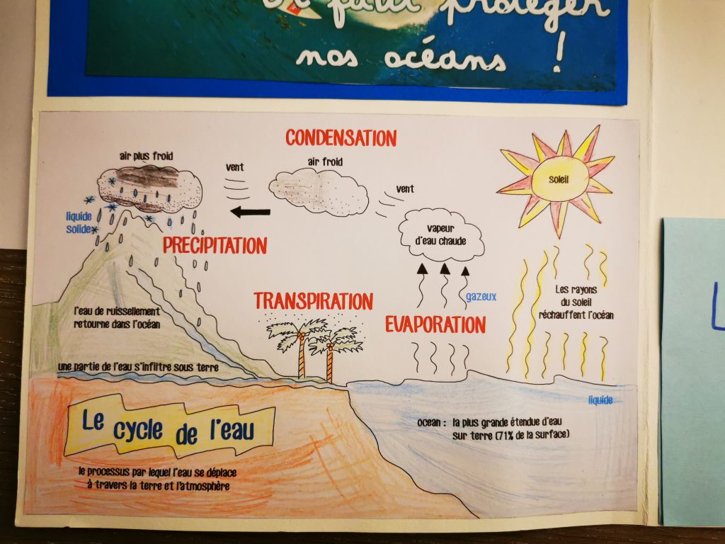 lapbook le cycle de l'eau projet