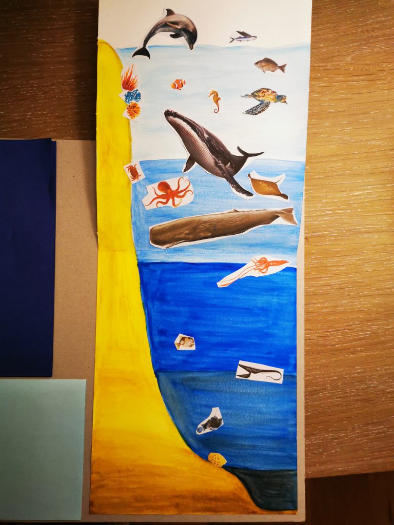 lapbook les océans et les animaux ief