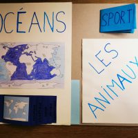 lapbook les océans projet enfant