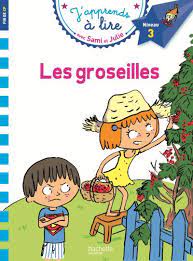 rallye lecture groseilles sami et julie