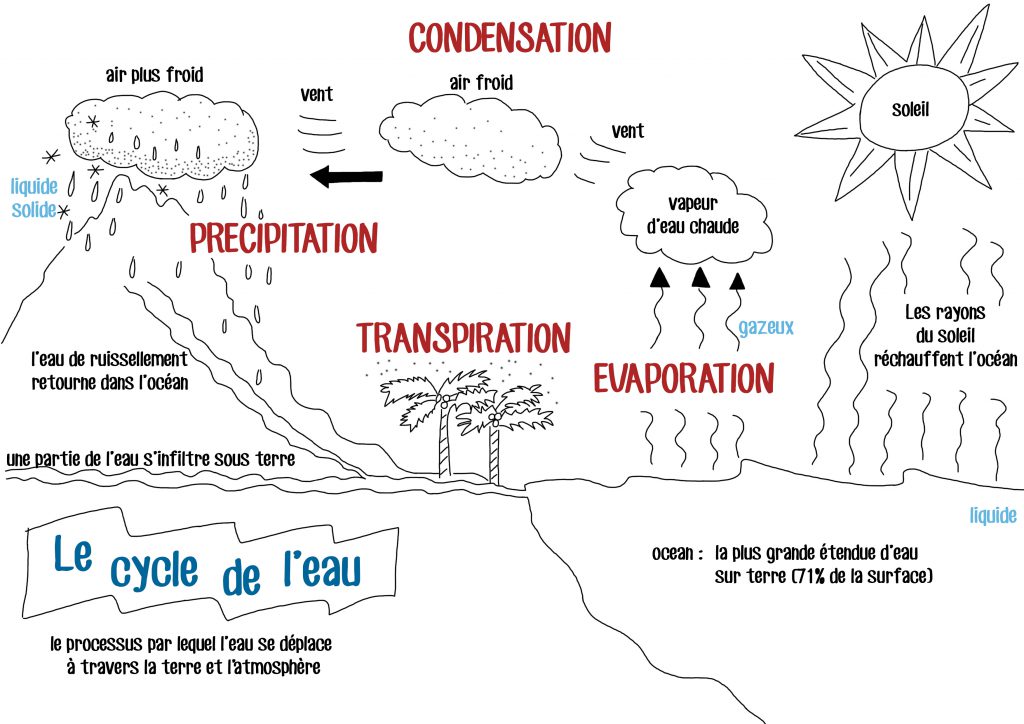 modèle cycle de l'eau