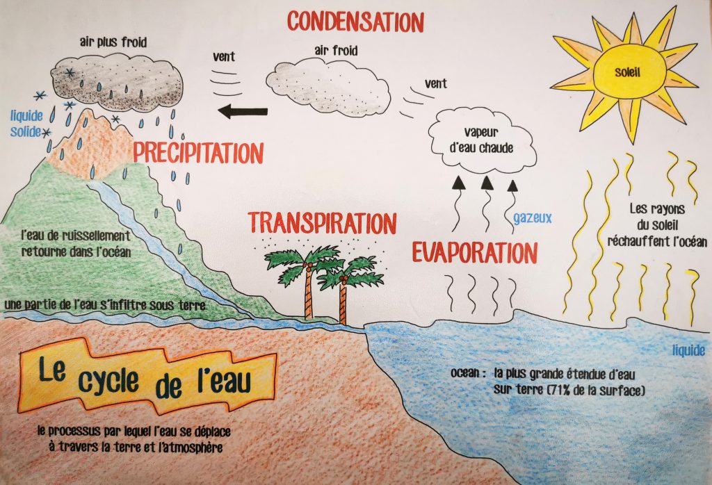 Cycle de l'eau - Les activités de maman