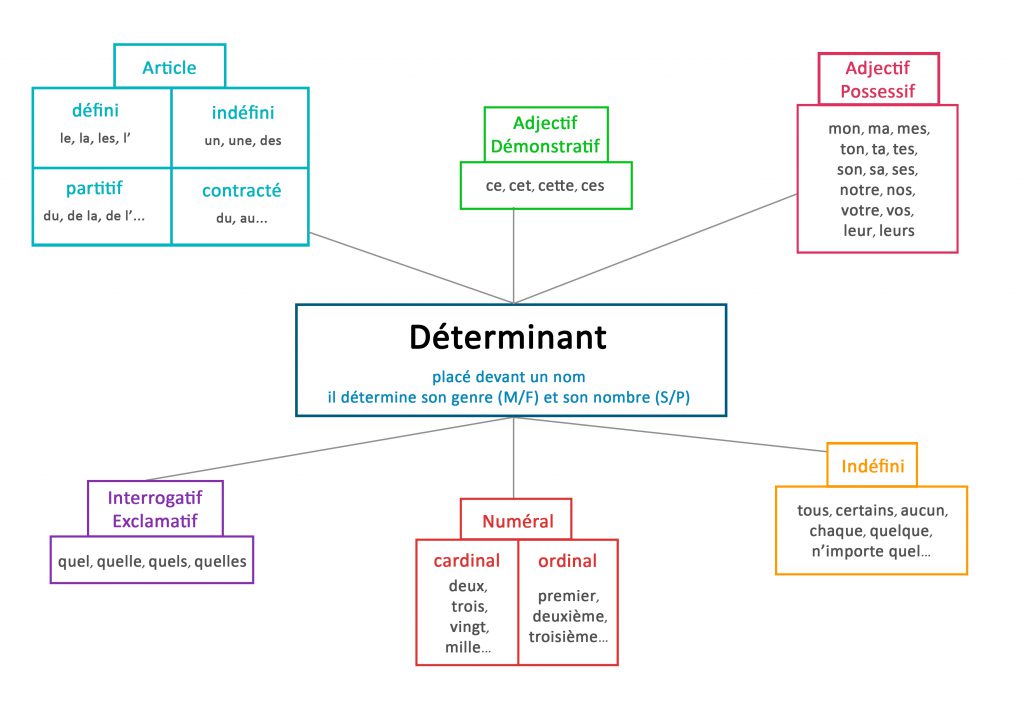 fiche récapitulative les déterminants