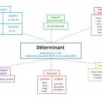 fiche récapitulative les déterminants