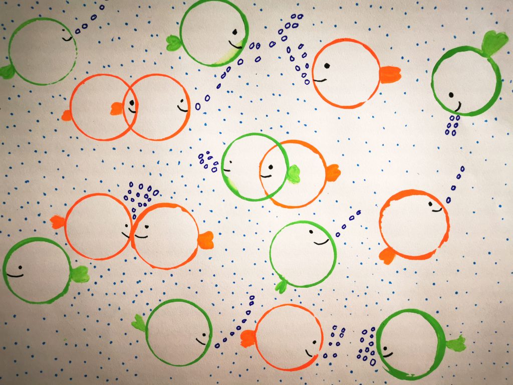 art visuel avri poisson
