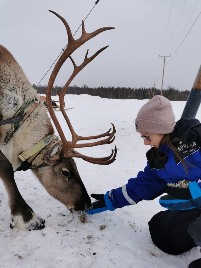 Laponie Finlande