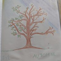 poésie voici que la saison décline