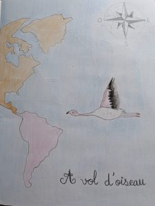 poésie vol d'oiseau