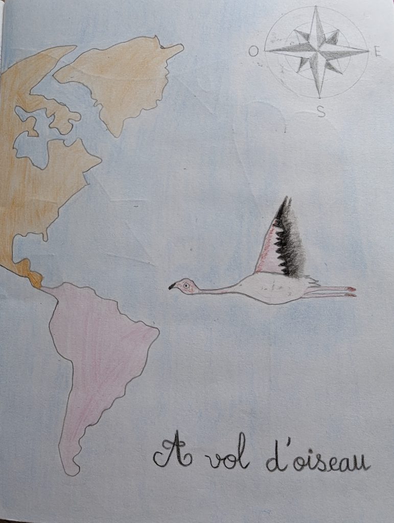 poésie vol d'oiseau