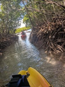 kayak en mer Ile Maurice