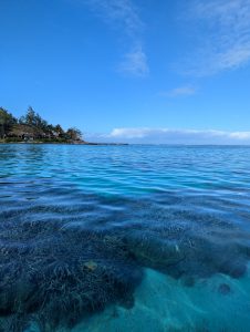 blue bay beach